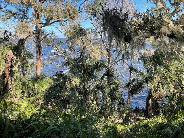 NE 310TH AVENUE, Fort Mc Coy, FL 32134