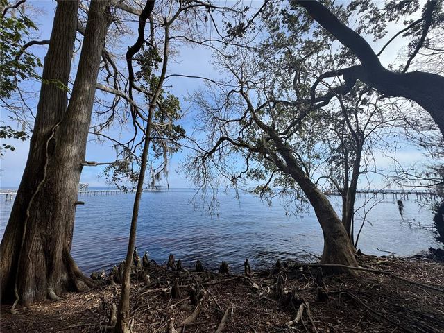NE 310TH AVENUE, Fort Mc Coy, FL 32134