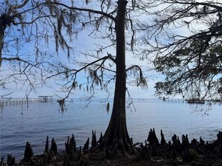 NE 310TH AVENUE, Fort Mc Coy, FL 32134