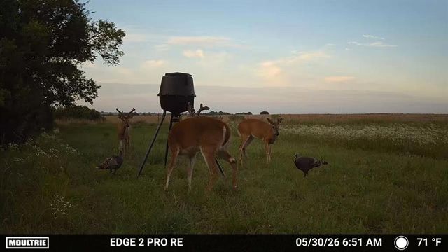 1763 County Road 1260, Tuttle, OK 73089