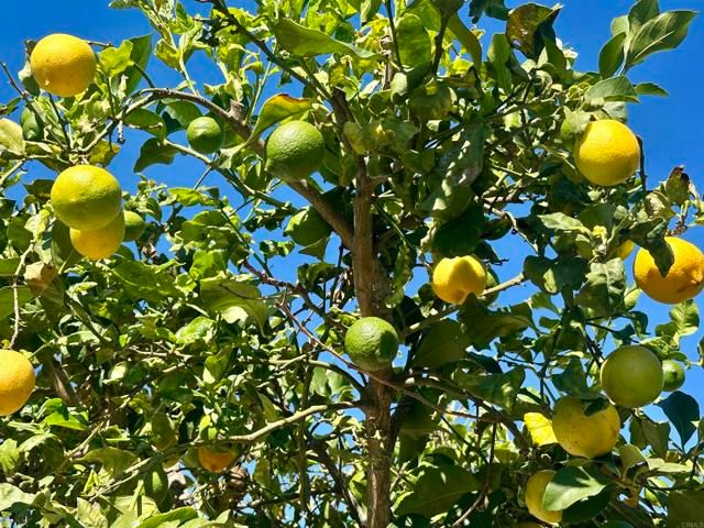 2445 S. Stage Coach Ln., Fallbrook, CA 92028