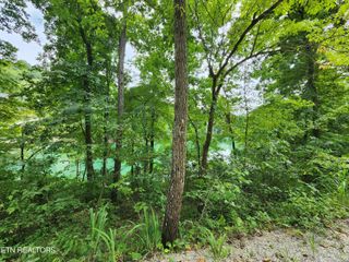 Carp Lane, Lafollette, TN 37766