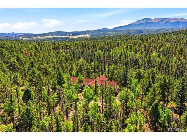 1509 County Road 25, Divide, CO 80814