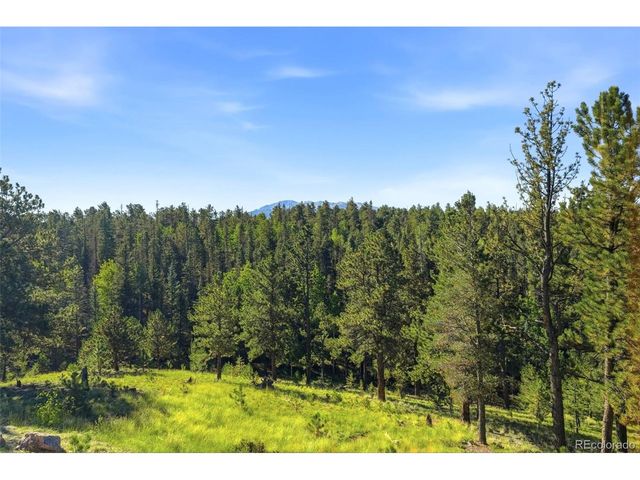 1509 County Road 25, Divide, CO 80814