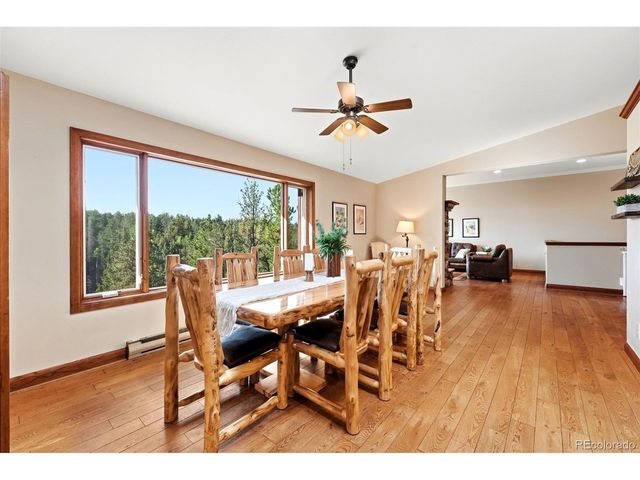 1509 County Road 25, Divide, CO 80814
