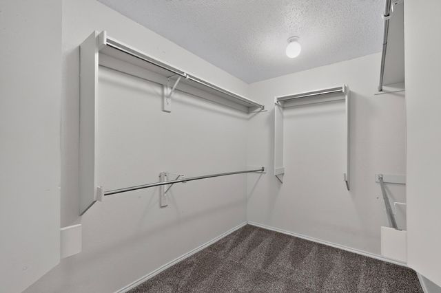2424 Tailburton Court, Little Elm, TX 75068