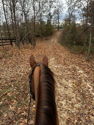 8423 Covert Drive, Aiken, SC 29803