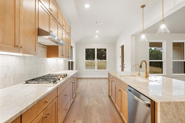 325 Knockout Rose DR, San Marcos, TX 78666