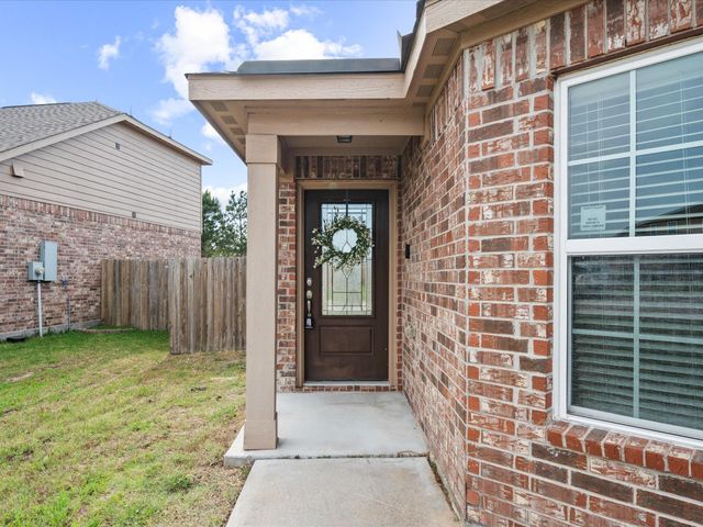 20819 Mount Bauer Drive, Hockley, TX 77447