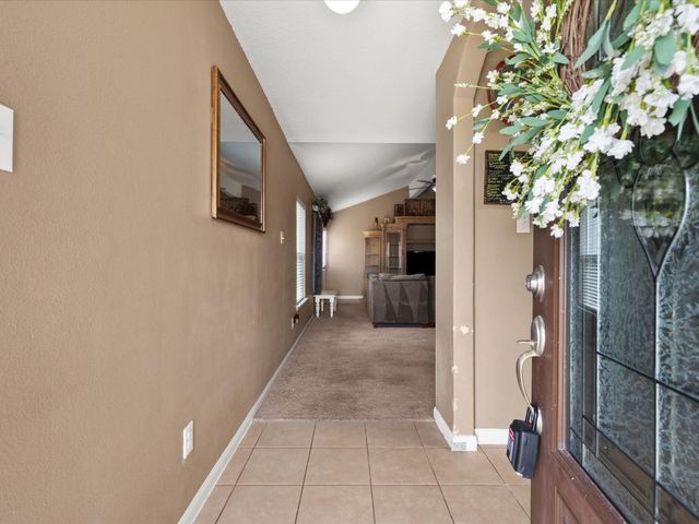 20819 Mount Bauer Drive, Hockley, TX 77447