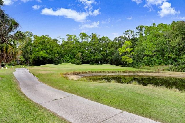 12009 BREWSTER DRIVE, Tampa, FL 33626