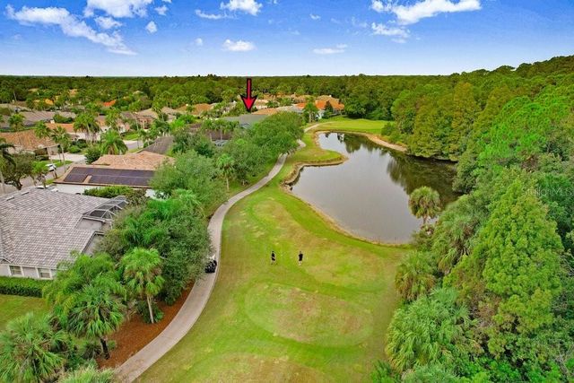 12009 BREWSTER DRIVE, Tampa, FL 33626