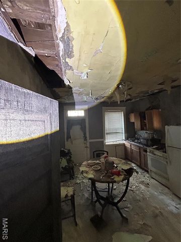 4210 Holly Avenue, St Louis, MO 63115