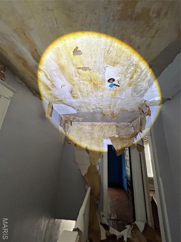 4210 Holly Avenue, St Louis, MO 63115