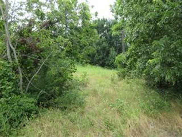 0000 S Oak Street, Ector, TX 75439