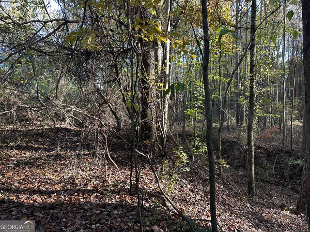 0 Hwy 27 No Street Suffix N, Carrollton, GA 30117