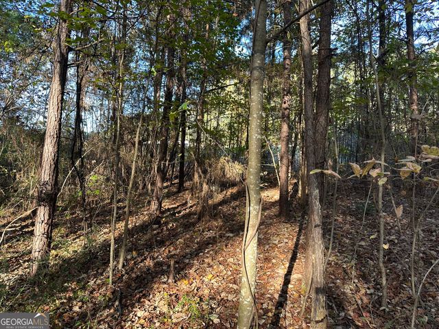 0 Hwy 27 No Street Suffix N, Carrollton, GA 30117