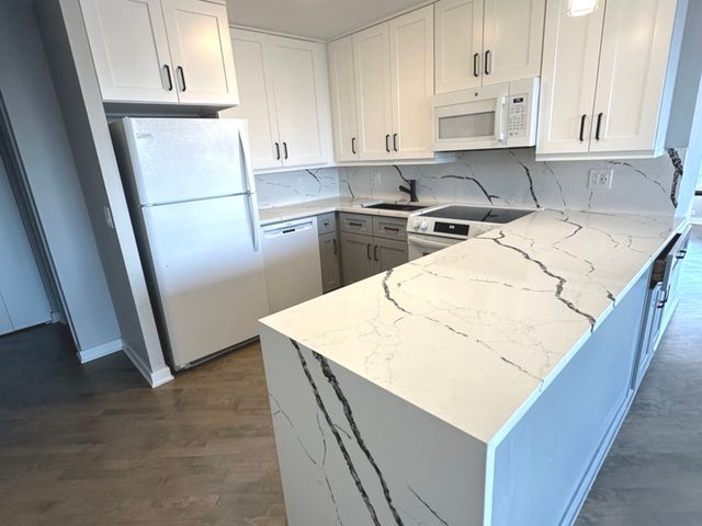 405 N Wabash Avenue 4904, Chicago, IL 60611