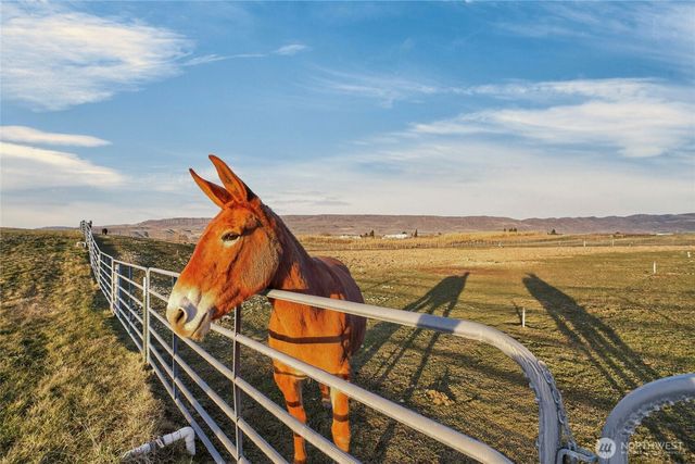 2775 4th Street SE, East Wenatchee, WA 98802