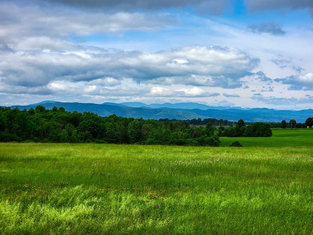 4376 VT-22A, Bridport, VT 05734