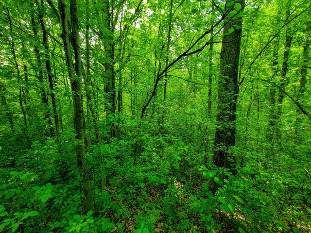 4376 VT-22A, Bridport, VT 05734