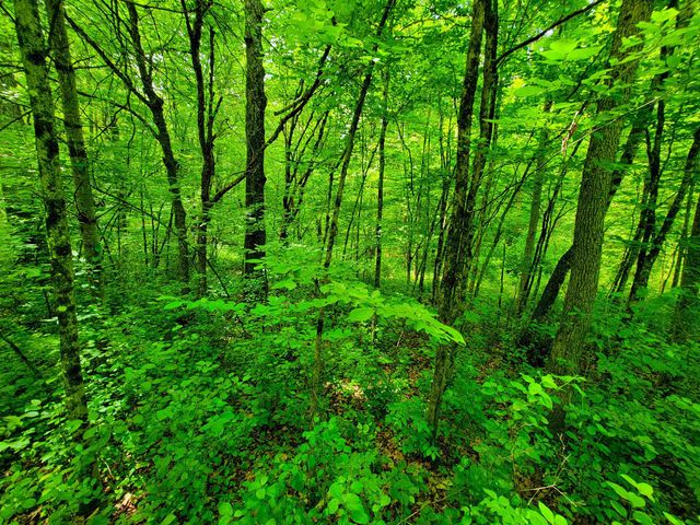 4376 VT-22A, Bridport, VT 05734