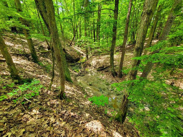 4376 VT-22A, Bridport, VT 05734