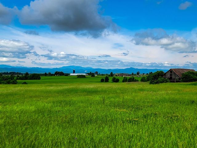 4376 VT-22A, Bridport, VT 05734