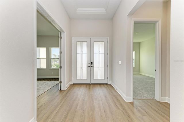 13442 BUFFALO MOUNTAIN AVENUE, Riverview, FL 33579