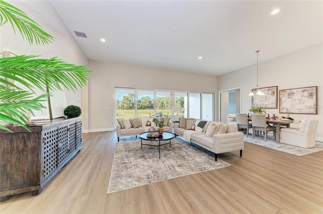 13442 BUFFALO MOUNTAIN AVENUE, Riverview, FL 33579