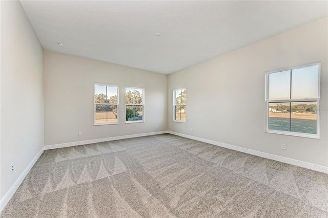 13442 BUFFALO MOUNTAIN AVENUE, Riverview, FL 33579