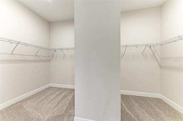 13442 BUFFALO MOUNTAIN AVENUE, Riverview, FL 33579