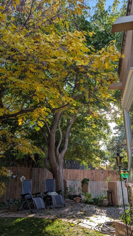 Image 50 of property listing at 214 Tornasol Lane NE, Albuquerque, NM 87113