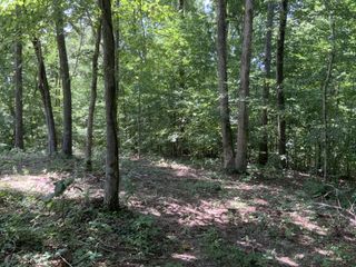0 Deadwood Drive, Dover, TN 37058