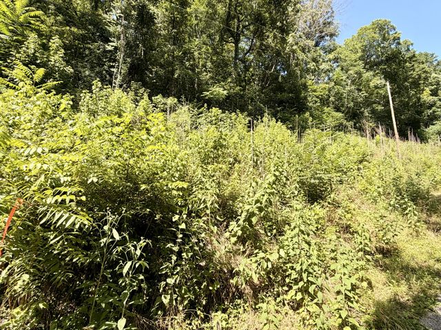 0 Silver Point Rd, Silver Point, TN 38582