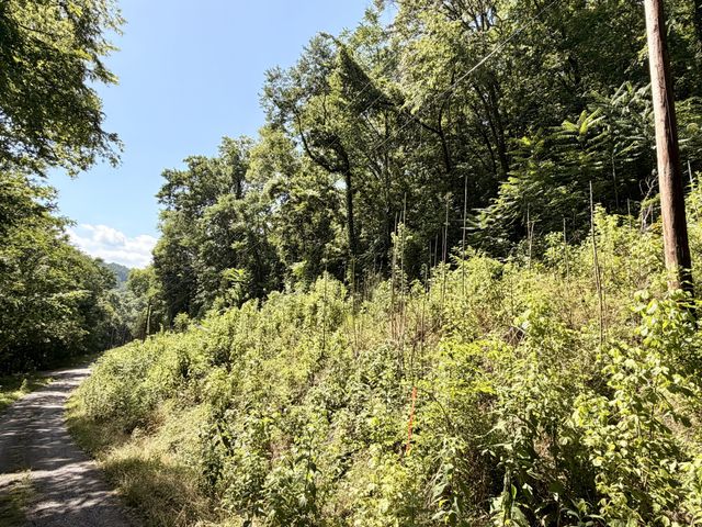 0 Silver Point Rd, Silver Point, TN 38582