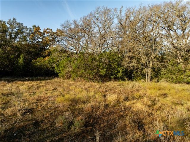 Unassigned County Road 107, Gatesville, TX 76528