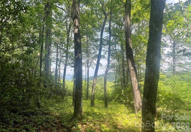 Lot 10 Joshua Road, Rosman, NC 28772