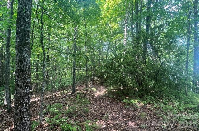 Lot 10 Joshua Road, Rosman, NC 28772