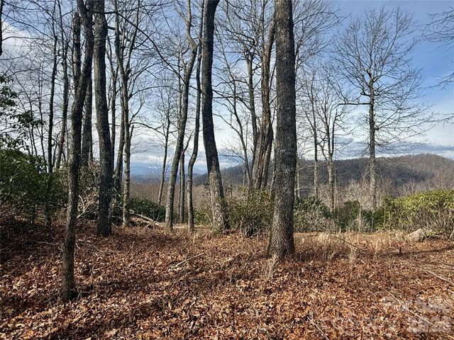 Lot 10 Joshua Road, Rosman, NC 28772