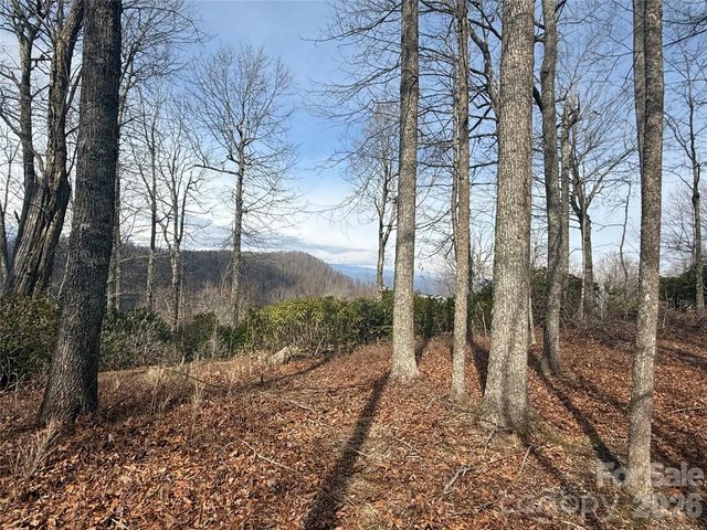 Lot 10 Joshua Road, Rosman, NC 28772