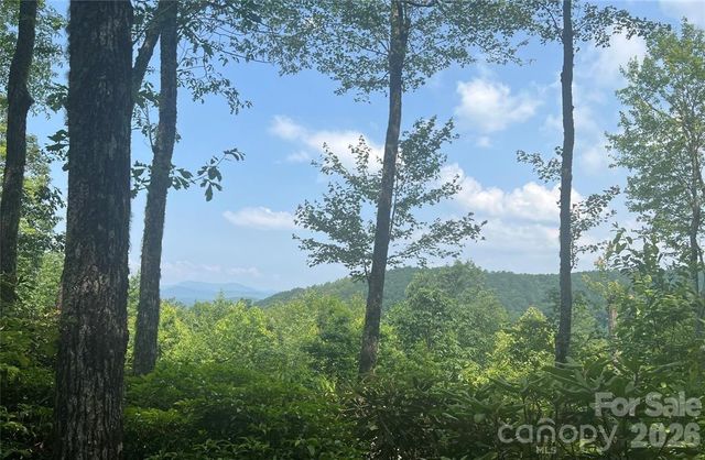 Lot 10 Joshua Road, Rosman, NC 28772