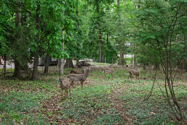 123 Trail East Drive, Hendersonville, TN 37075