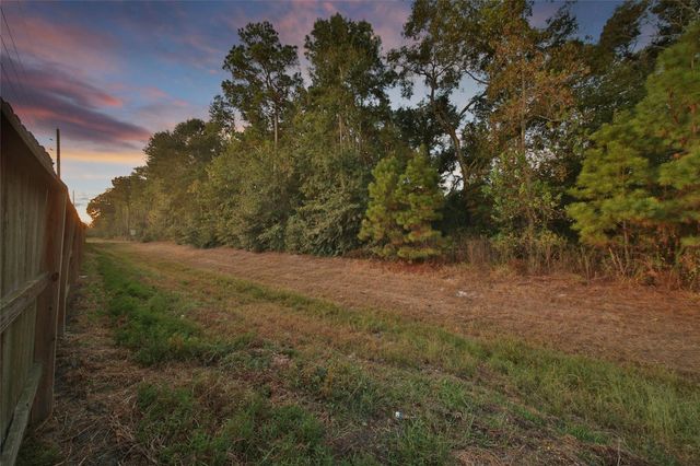 25202 Azel Shore Court, Porter, TX 77365