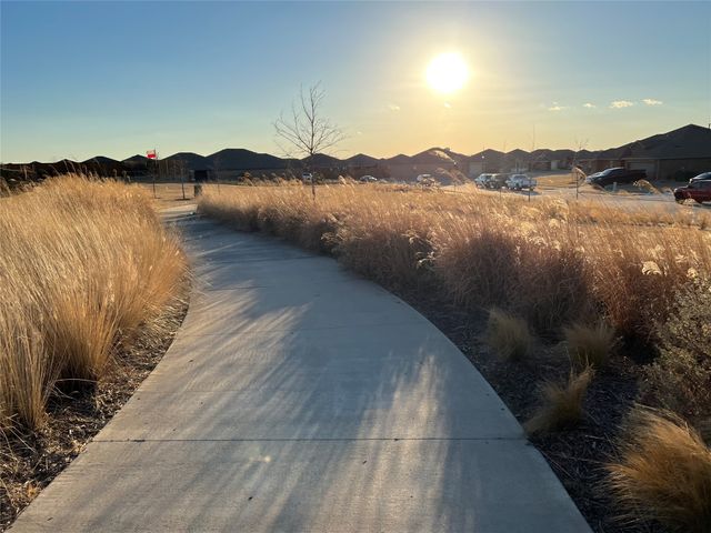 255 Carolina Trace, Fate, TX 75189