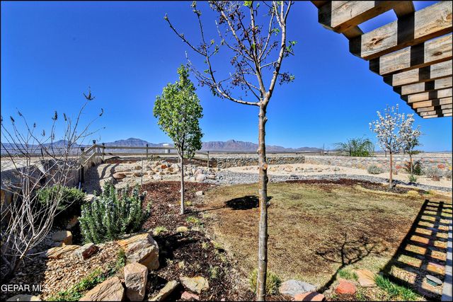 6952 Black Mesquite Drive, El Paso, TX 79934