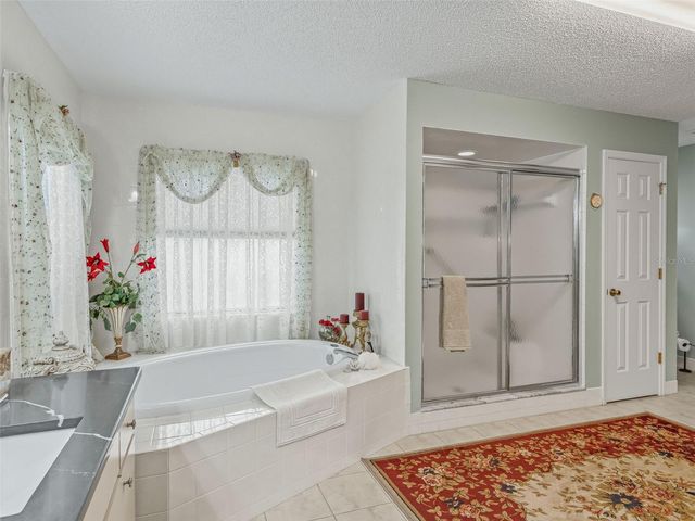 9900 SE 175TH PLACE, Summerfield, FL 34491