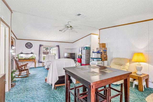 2903 CR 426E, Lake Panasoffkee, FL 33538