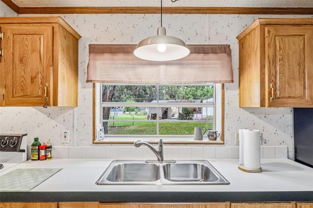 2903 CR 426E, Lake Panasoffkee, FL 33538