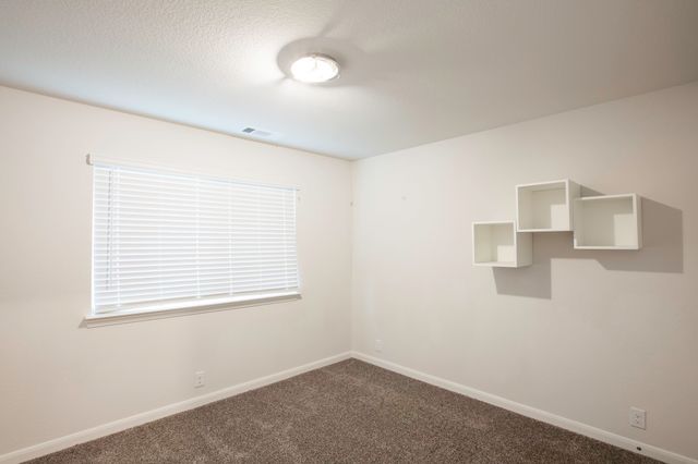 3811 Thomas Plains Drive, Forney, TX 75126